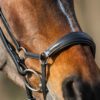 Equibridle anatomische lage neusriem Siro - zwart soft