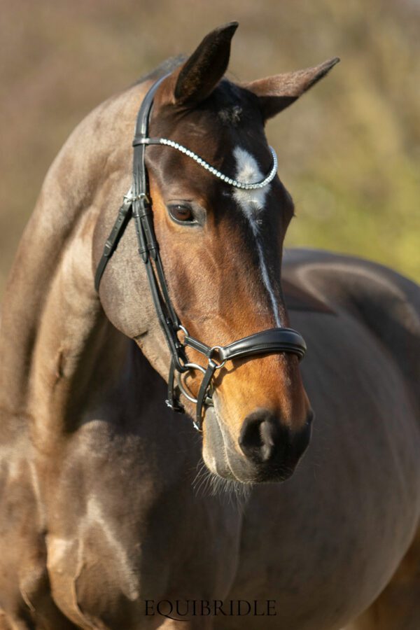 Equibridle Siro anatomisch hoofdstel - zwart soft - Afbeelding 2