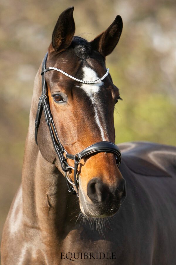 Equibridle Siro anatomisch hoofdstel - zwart soft - Afbeelding 3