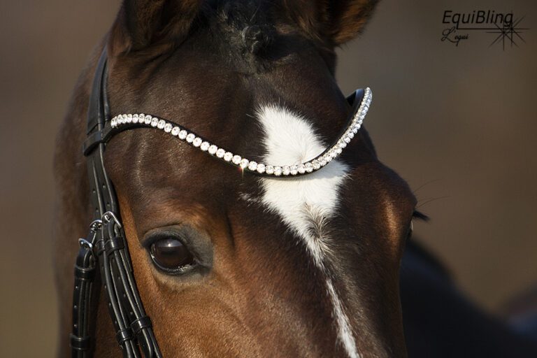 een stralende bling frontriem gemaakt van stellux stenen