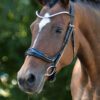 Equibridle anatomisch hoofdstel Jameson - zwart lak