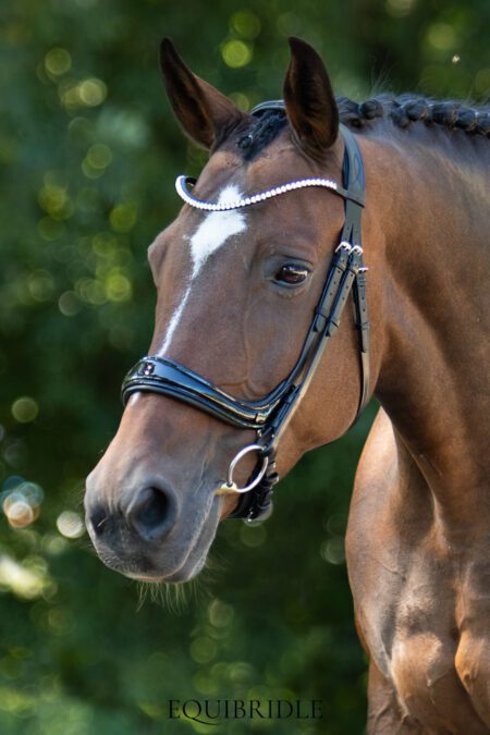 Equibridle anatomisch hoofdstel Jameson - zwart lak