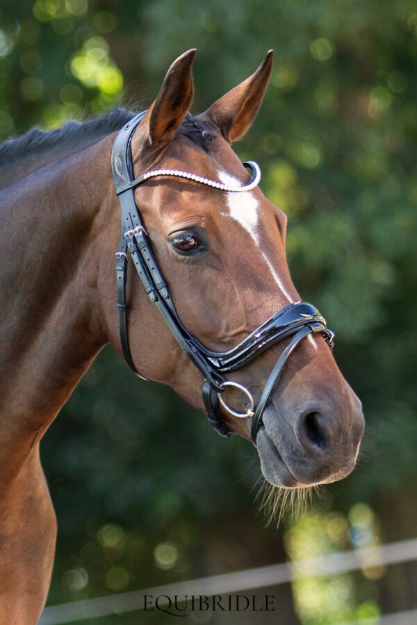 Equibridle anatomisch hoofdstel Jameson - zwart lak - Afbeelding 3