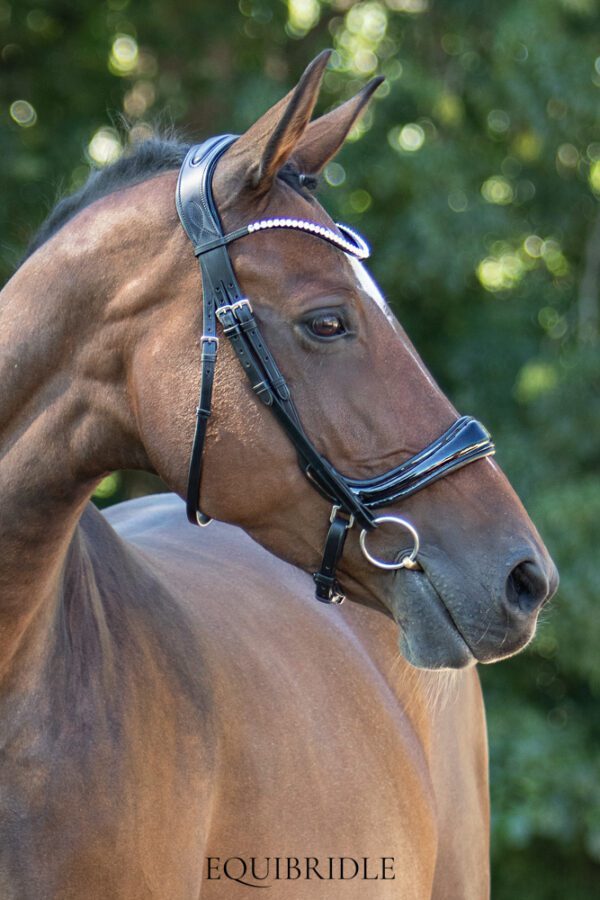 Equibridle anatomisch hoofdstel Jameson - zwart lak - Afbeelding 5
