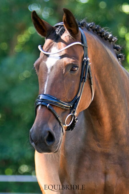 Equibridle anatomisch hoofdstel Kingston - zwart lak