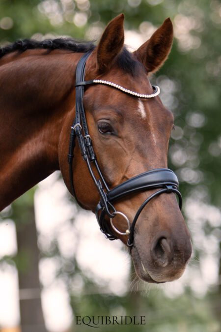Equibridle anatomisch hoofdstel Apache - zwart soft