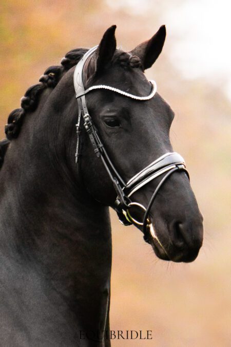 Equibridle anatomisch hoofdstel Apache - wit lak