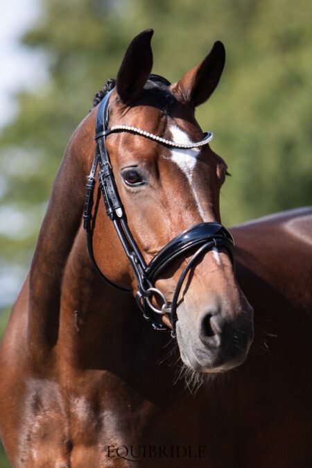 Equibridle anatomisch hoofdstel Apache - zwart lak