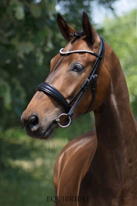 Equibridle anatomisch hoofdstel Arlando - zwart patroon