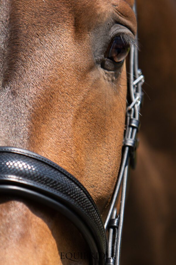 Equibridle anatomisch hoofdstel Arlando - zwart patroon - Afbeelding 2