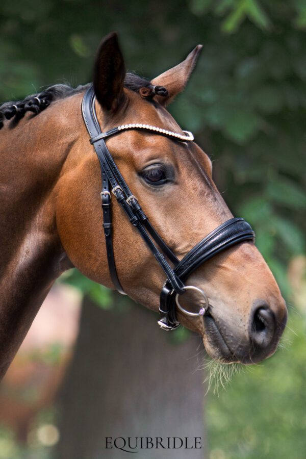 Equibridle anatomisch hoofdstel Arlando - zwart patroon - Afbeelding 3