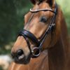 Equibridle anatomisch hoofdstel Armani - zwart patroon