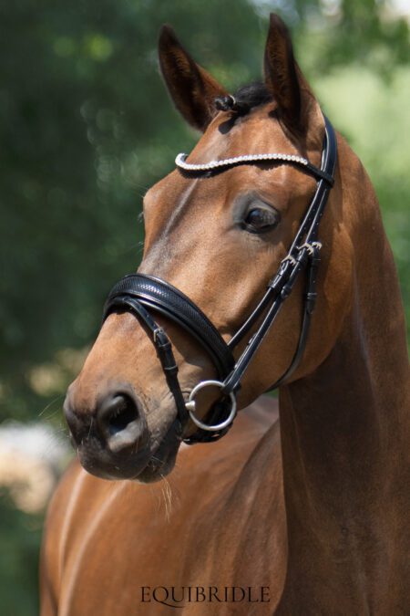 Equibridle anatomisch hoofdstel Armani - zwart patroon