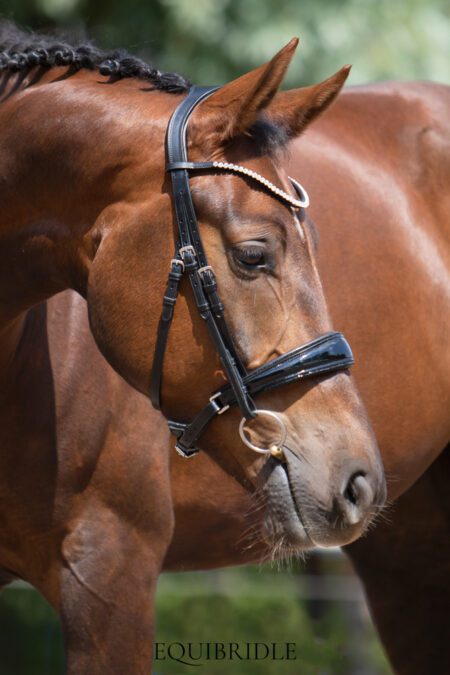 Equibridle anatomisch hoofdstel Cupido - zwart glitter