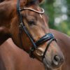 Equibridle anatomisch hoofdstel Diamond - zwart glitter