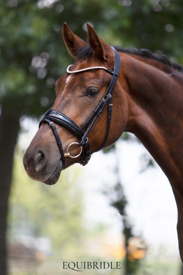 Equibridle anatomisch hoofdstel Diamond - zwart glitter - Afbeelding 3