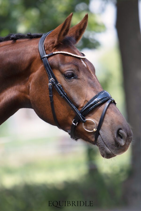 Equibridle anatomisch hoofdstel Diamond - zwart glitter - Afbeelding 4