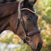 Equibridle anatomisch hoofdstel Ferro - bruin