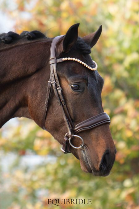 Equibridle anatomisch hoofdstel Ferro - bruin