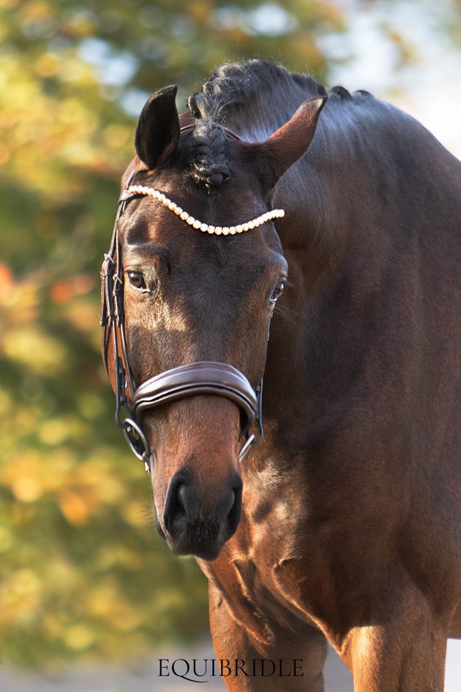 Equibridle anatomisch hoofdstel Ferro - bruin - Afbeelding 3