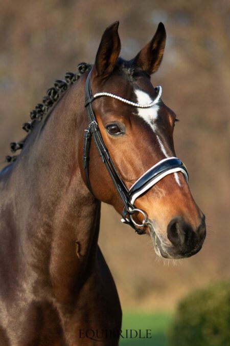 Equibridle anatomisch hoofdstel Ferro - wit lak