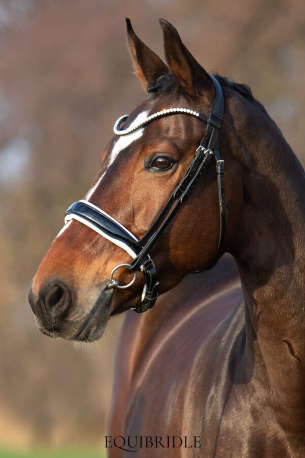 Equibridle anatomisch hoofdstel Ferro - wit lak - Afbeelding 2