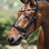 Equibridle anatomisch hoofdstel Ferro - zwart soft