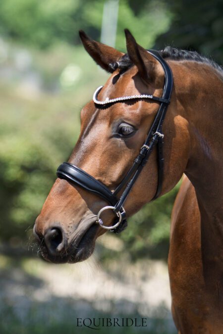Equibridle anatomisch hoofdstel Ferro - zwart soft