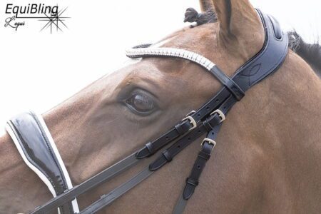 Anatomisch stang en trens kopstuk