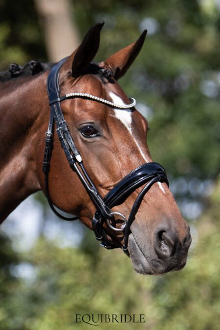 Equibridle anatomisch hoofdstel Nadine - zwart lak