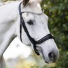 Equibridle anatomisch hoofdstel Jameson - zwart soft