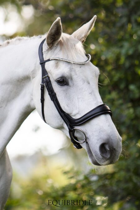 Equibridle anatomisch hoofdstel Jameson - zwart soft