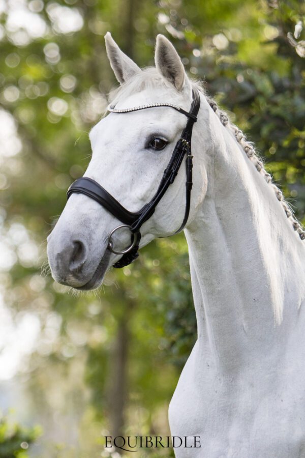 Equibridle anatomisch hoofdstel Jameson - zwart soft - Afbeelding 3