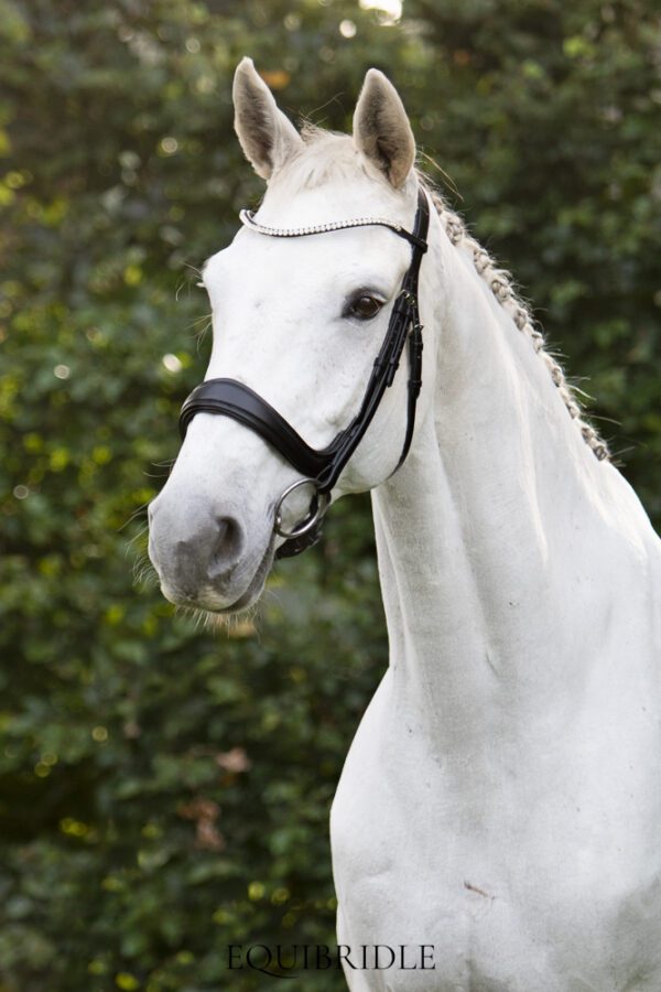 Equibridle anatomisch hoofdstel Jameson - zwart soft - Afbeelding 4