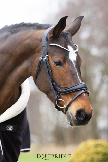 Equibridle anatomisch hoofdstel Kingston - zwart soft