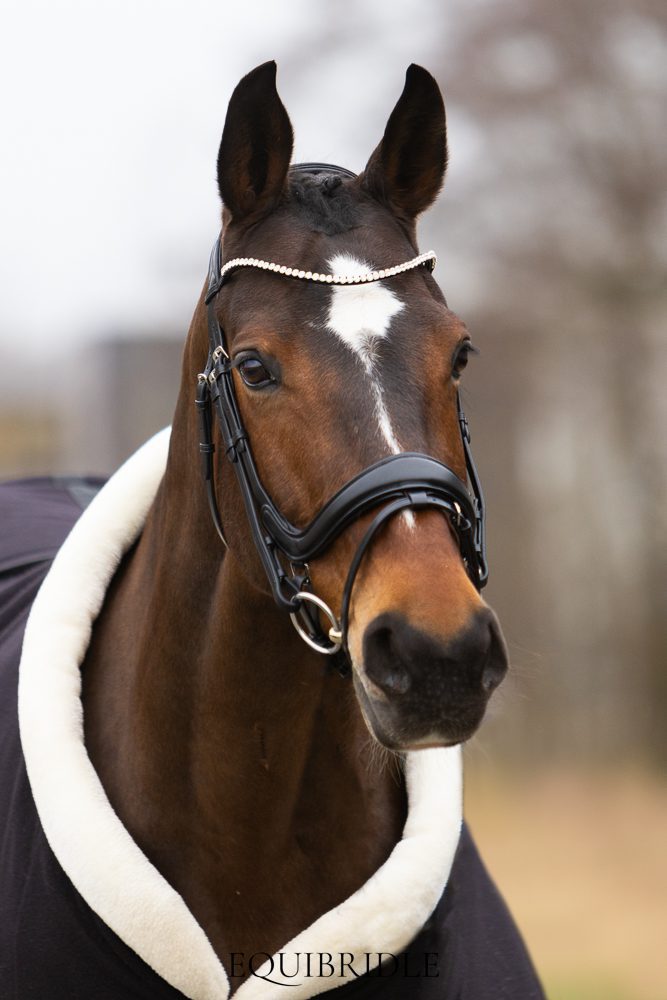 Equibridle anatomisch hoofdstel Kingston - zwart soft - Afbeelding 4