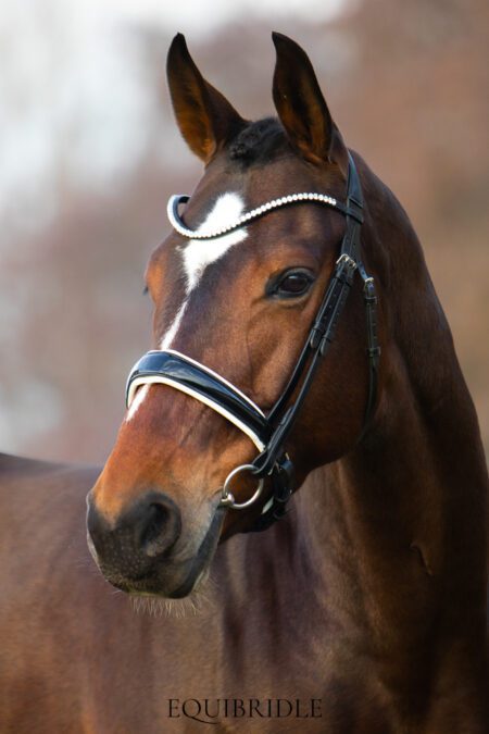 Equibridle anatomisch hoofdstel Lennox - wit lak