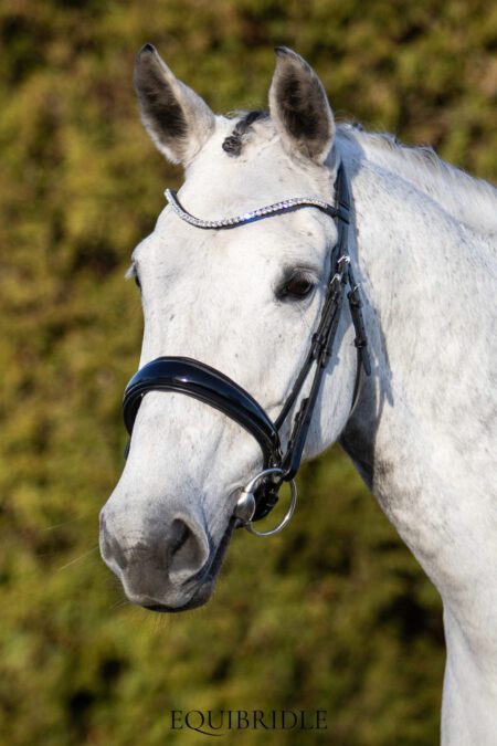 Equibridle anatomisch hoofdstel Lennox - zwart lak