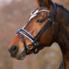 Equibridle anatomisch hoofdstel Merlot - wit lak