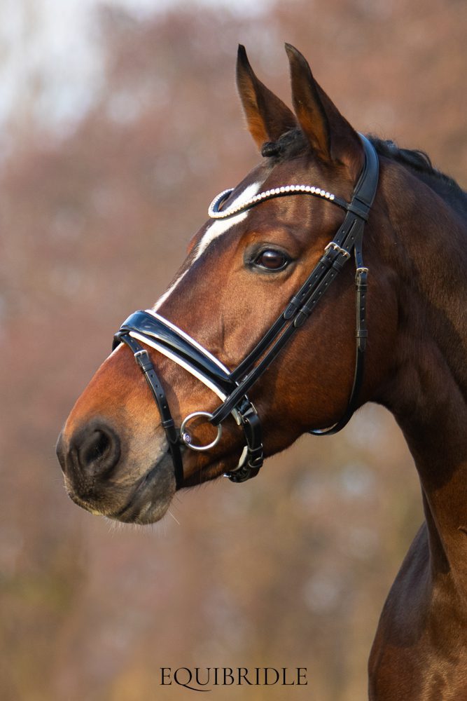 Equibridle anatomisch hoofdstel Merlot - wit lak