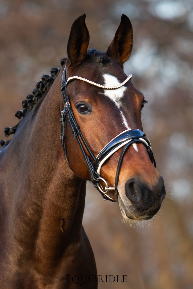 Equibridle anatomisch hoofdstel Merlot - wit lak - Afbeelding 3