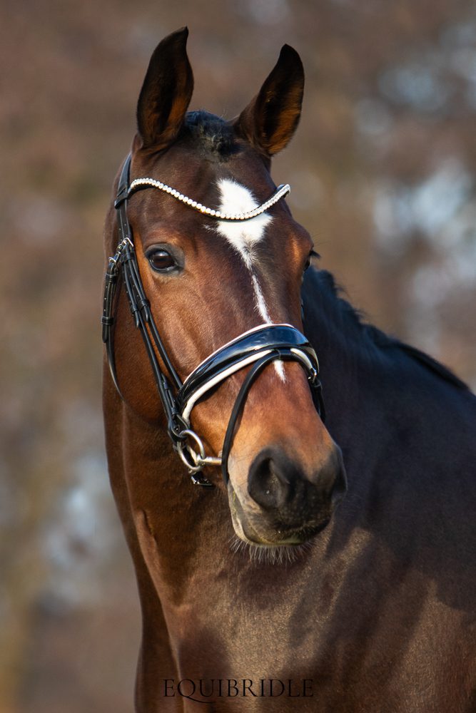 Equibridle anatomisch hoofdstel Merlot - wit lak - Afbeelding 4