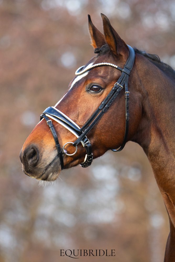 Equibridle anatomisch hoofdstel Merlot - wit lak - Afbeelding 5
