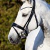 Equibridle anatomisch hoofdstel Merlot - zwart lak