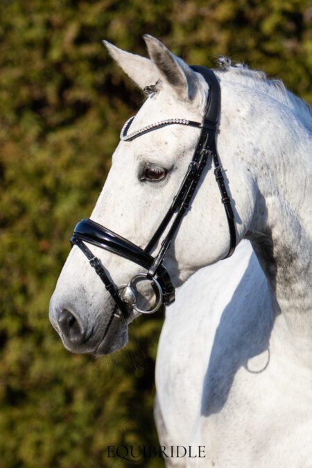 Equibridle anatomisch hoofdstel Merlot - zwart lak