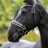 Equibridle anatomisch hoofdstel Nadine - wit lak