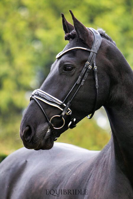 Equibridle anatomisch hoofdstel Nadine - wit lak