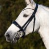 Equibridle stang en trens hoofdstel Negro - zwart lak