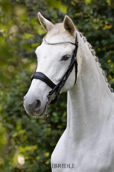 Equibridle stang en trens hoofdstel Romance - zwart soft