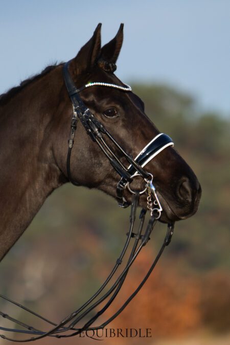 Equibridle stang en trens hoofdstel Sandreo - wit lak